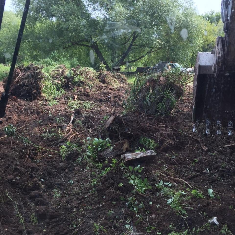 Stumping project underway