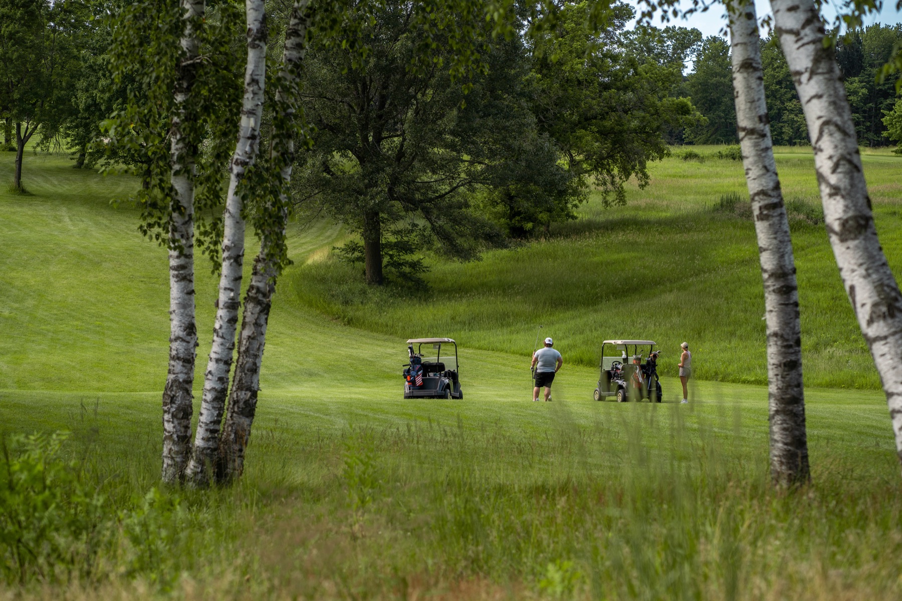Golfers and carts on a birch-lined fairway at Tanglewood
